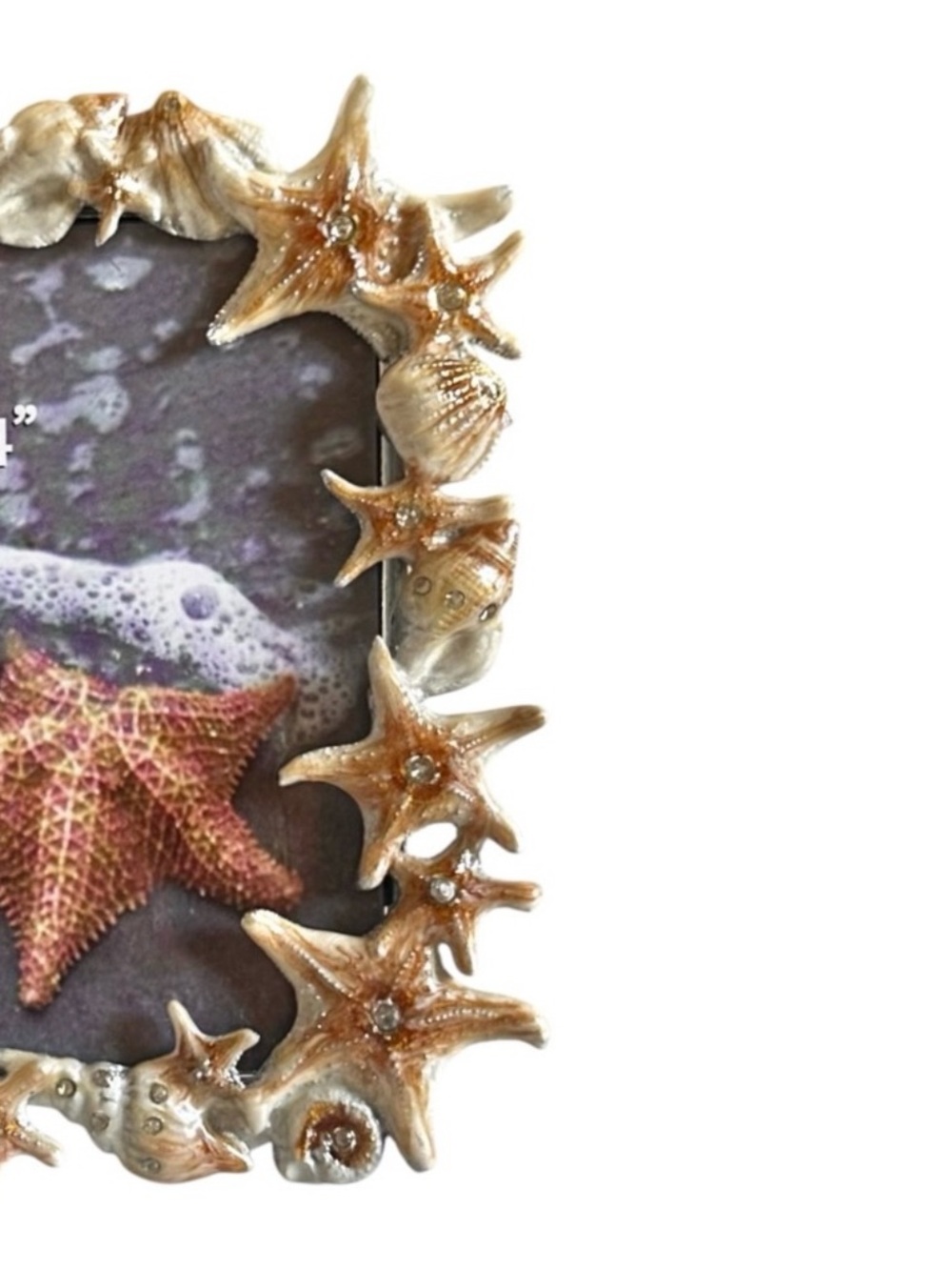 Tan and Ivory Seashell and Starfish Coastal Theme Photo Frame - Picture 2 of 5